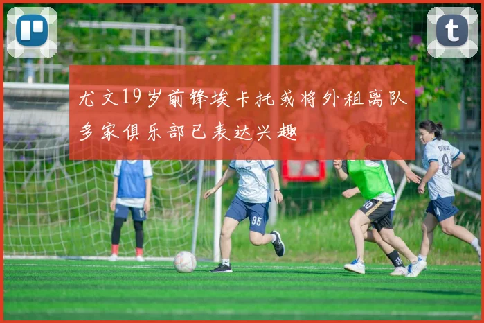 尤文19岁前锋埃卡托或将外租离队多家俱乐部已表达兴趣